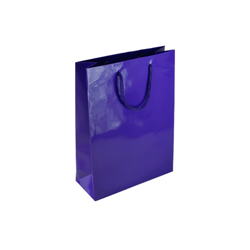 Gloss Paper Gift Bags