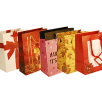 Luxury Paper Gift Bags